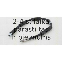 Bremžu šļūtene TRISCAN 8150 11117