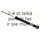 Amortizators SACHS 315 912