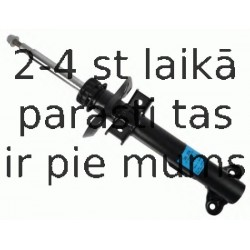 Amortizators SACHS 315 274