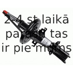 Amortizators SACHS 315 297