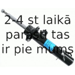 Amortizators SACHS 313 738