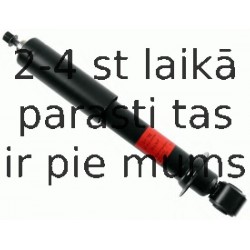 Amortizators SACHS 311 752