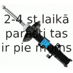 Amortizators SACHS 314 885