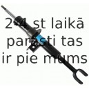 Amortizators SACHS 314 865