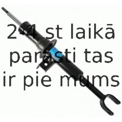 Amortizators SACHS 314 865