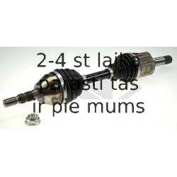 SPIDAN 24959