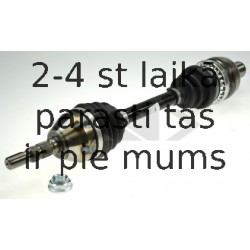 SPIDAN 24957