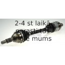 SPIDAN 24954