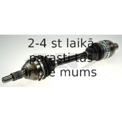 SPIDAN 24954