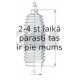 SPIDAN 84224