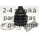 SPIDAN 25591