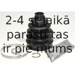 SPIDAN 25591