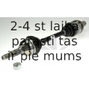 SPIDAN 24983