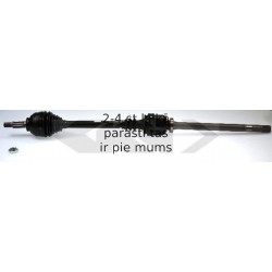 SPIDAN 24441