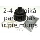 SPIDAN 24612