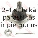 Balst-/Virzošais šarnīrs TRW JBJ7547