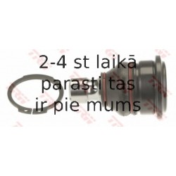 Balst-/Virzošais šarnīrs TRW JBJ1095