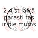 Bremžu loku kompl., Stāvbremze TRW GS8804