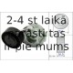 Spriegotājsvira, Ķīļrievu siksna INA 534 0470 10