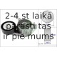 Spriegotājsvira, Ķīļrievu siksna INA 534 0361 10