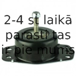 Piekare, Dzinējs DELPHI TEM023