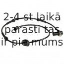 Датчик, частота вращения колеса DELPHI SS20298