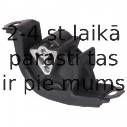 Piekare, Dzinējs DELPHI TEM060