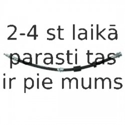 Тормозной шланг DELPHI LH6919