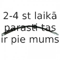 Тормозной шланг DELPHI LH6884