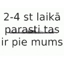 Stikla tīrītāja slotiņa BOSCH 3 397 008 058