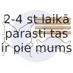 Piederumu komplekts, Disku bremžu uzlikas CARRAB BRAKE PARTS 2273