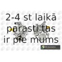Hidrosūknis, Stūres iekārta BGA PSP9600