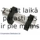 BLUE PRINT ADV182304