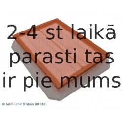 Воздушный фильтр BLUE PRINT ADW192205