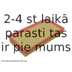 Воздушный фильтр BLUE PRINT ADV182217