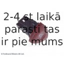 Avārijas gaismas signāla slēdzis BLUE PRINT ADN11458