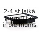 MANN-FILTER C 24 021