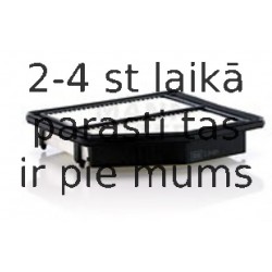 MANN-FILTER C 24 021