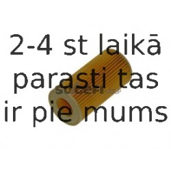 Eļļas filtrs FRAM CH11169ECO