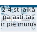 FAE 74174