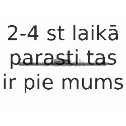 Stikla tīrītāja slotiņa BOSCH 3 397 008 058