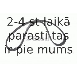 Zobsiksna BOSCH 1 987 949 538