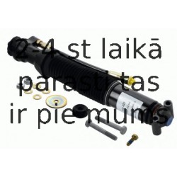 SACHS 102 422