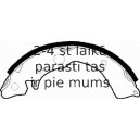 Комплект тормозных колодок FERODO FSB204