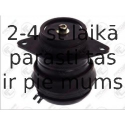 Kronšteins, Motora piekare FORTUNE LINE FZ9945