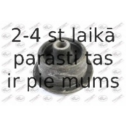 Piekare, Tilta sija FORTUNE LINE FZ9432