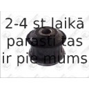 Piekare, Tilta sija FORTUNE LINE FZ9317
