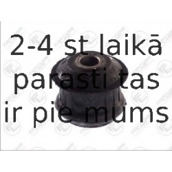 Piekare, Tilta sija FORTUNE LINE FZ9317