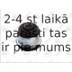 Kronšteins, Motora piekare FORTUNE LINE FZ9316