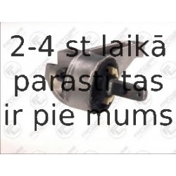 Kronšteins, Motora piekare FORTUNE LINE FZ90578
